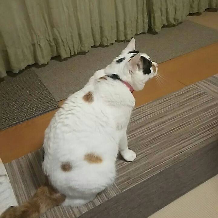 11471de3 e54c 46e8 a1d0 ef14af93ac05