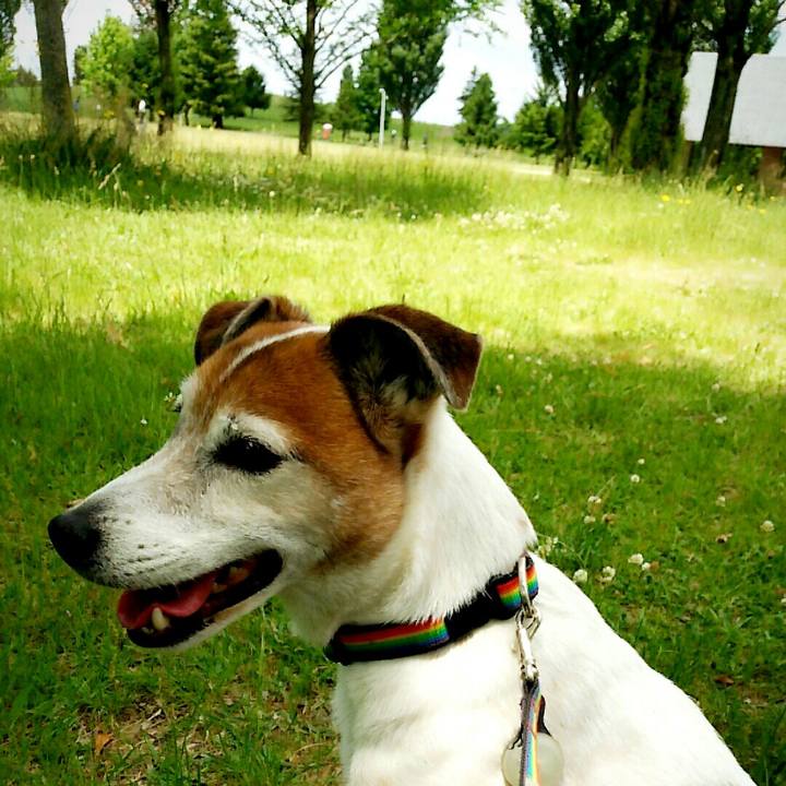 11476e3c d922 4f0f 8978 dee799f1e684