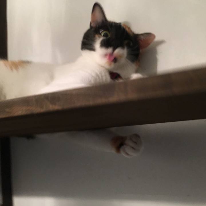 1147d7ca 3437 467e 844c a4b070008312