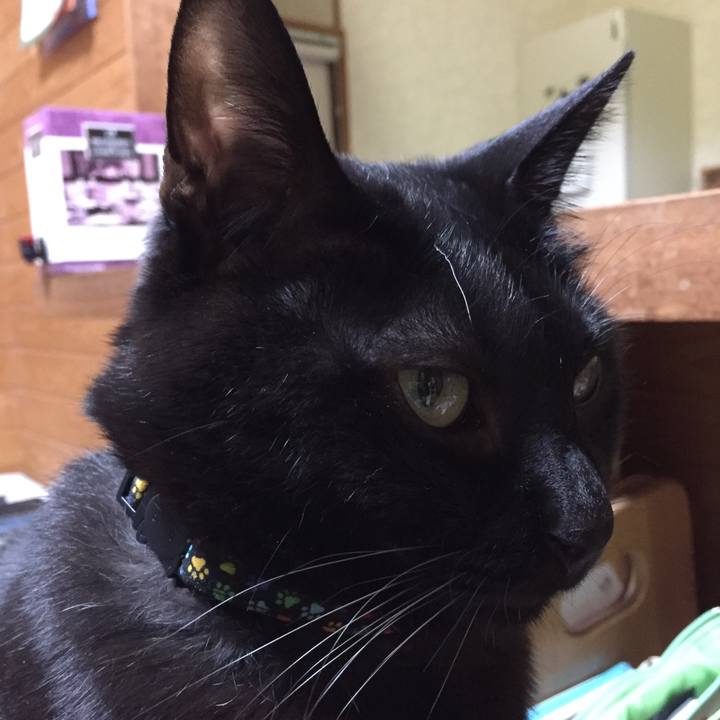 114814b9 490a 4d78 8e52 7c65803a2e44