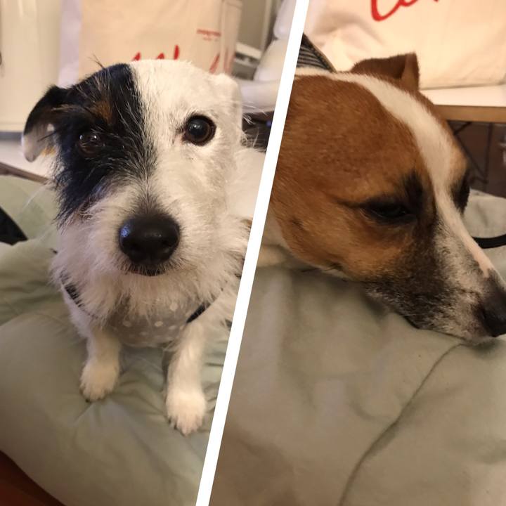 11483c5c 2877 4492 b71b 5f27d8929fbc