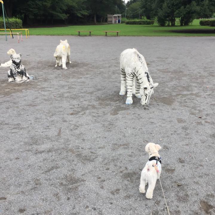 11484f3a 5b28 40f5 b03b 8c7f328acb47