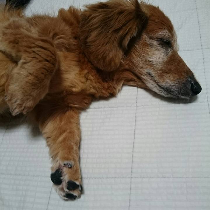 11490cda 2f05 47f2 9960 30d4d4ca34ce