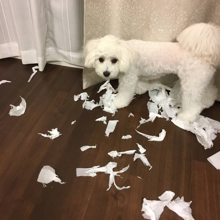 11491f2f e93f 4073 be5d fd2544a1a5d5