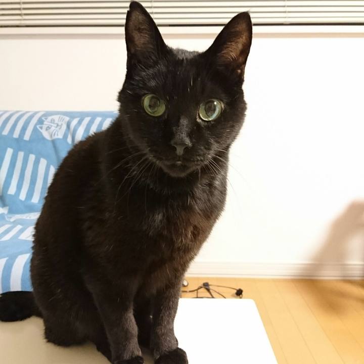 11494a53 8ded 4def 93c7 226fb99b6730