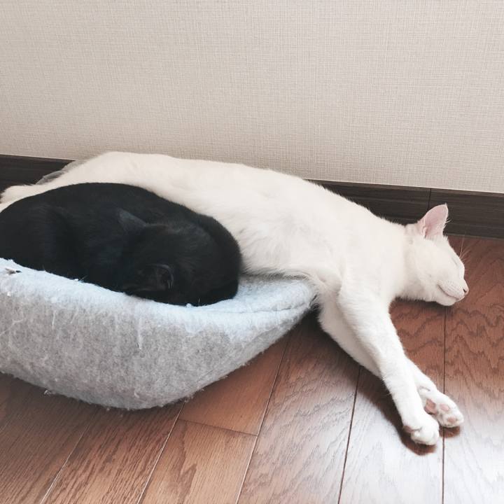 11498e71 e419 4e62 9f74 cb0a54657c7c