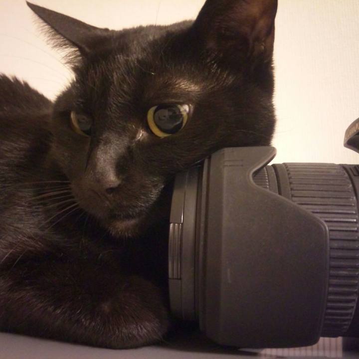 1149af80 5b91 4120 8309 cce17ba68a65