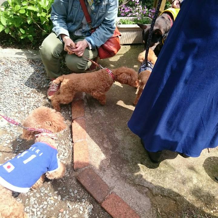 114a6530 467a 4daa 8ee8 8d70a762ec88