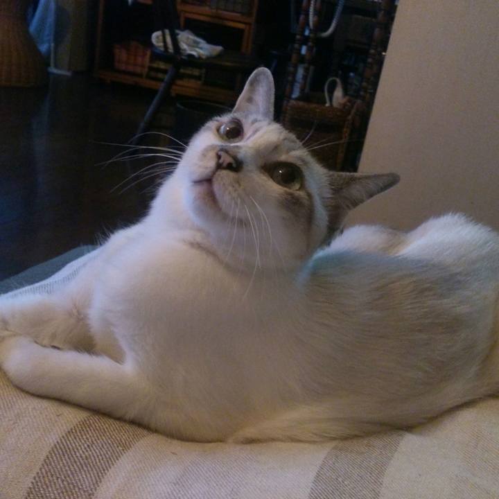 114a9453 ddb9 431c 958e 3cc25f724ab2