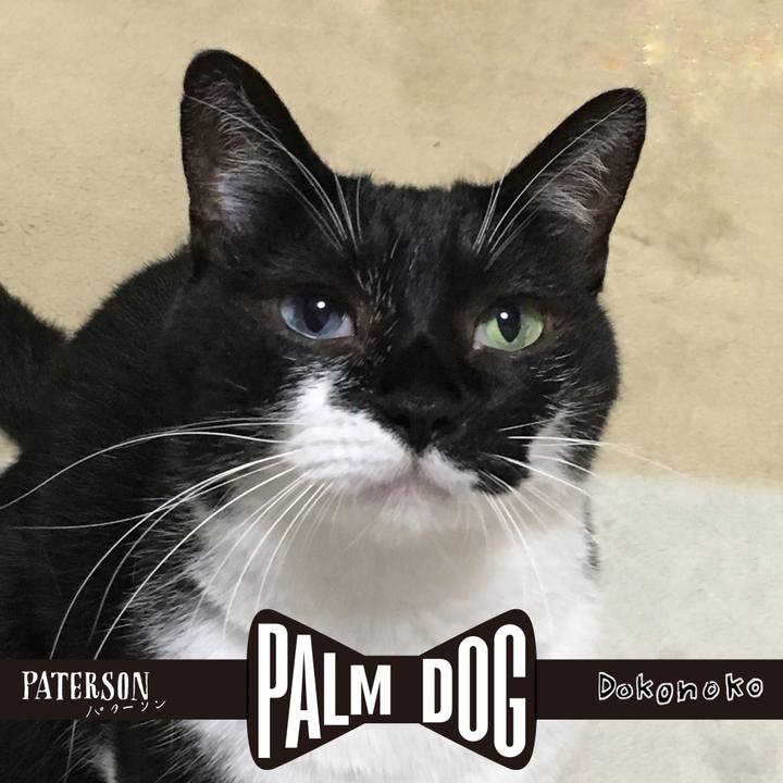 114b73e8 f971 43c2 b839 9ddf64c24590