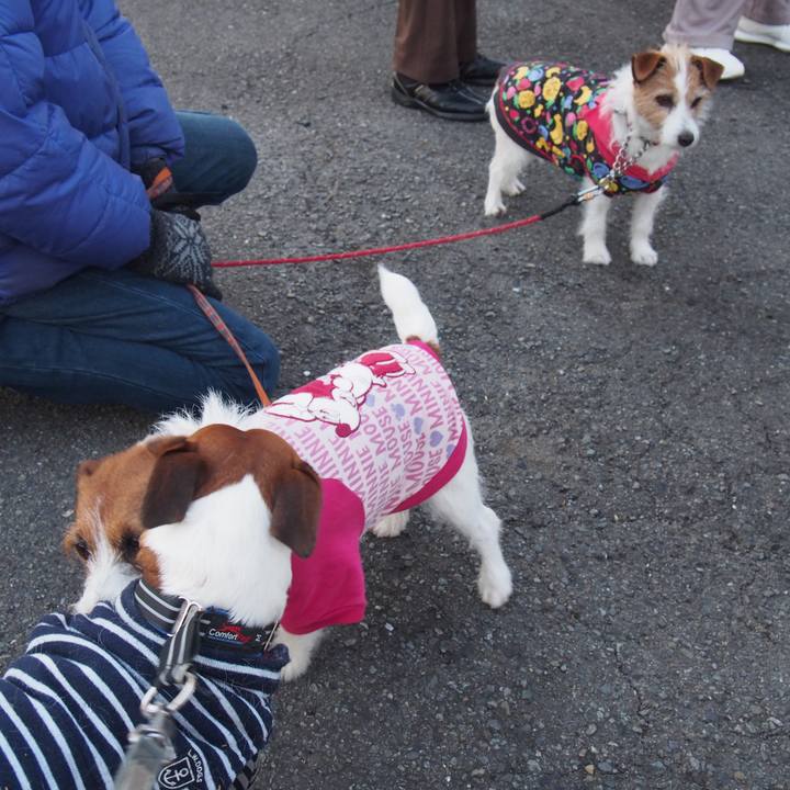 114bedd7 454a 45fe 8b06 fe6e60865e17