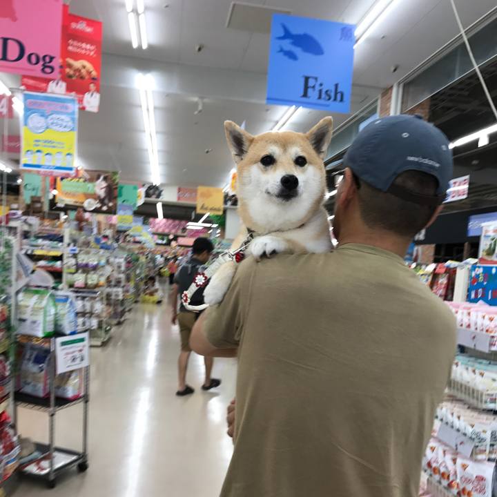 114bf8ef efb4 4593 b726 72196e7ca88e