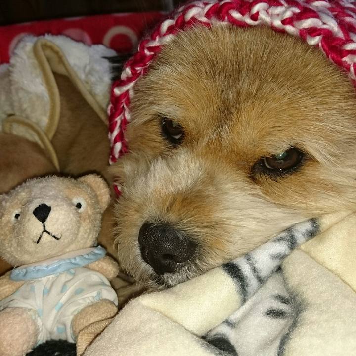 114c192b 6d6a 4763 b00e 088812c2fed8