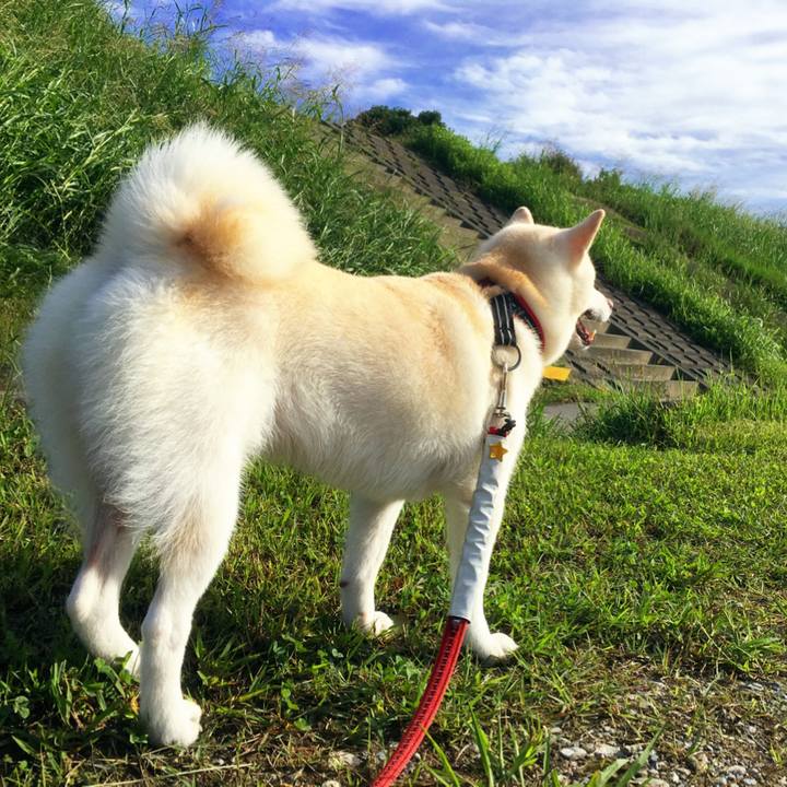 114c2efe da8a 48a6 9756 857d942bfa4e