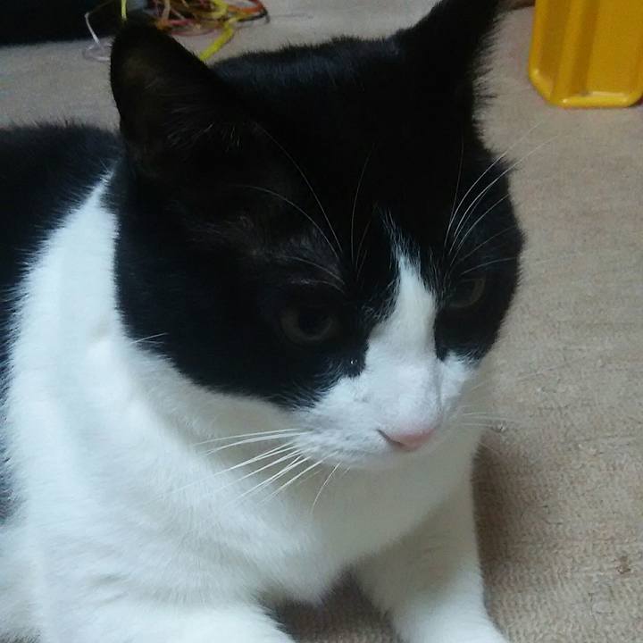 114ccb39 5e33 4500 a49d 20bbe9b14578