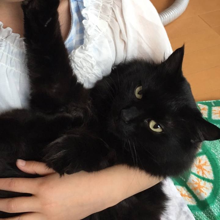 114d3edd d73a 419b 95e3 a6188c4f2ea9