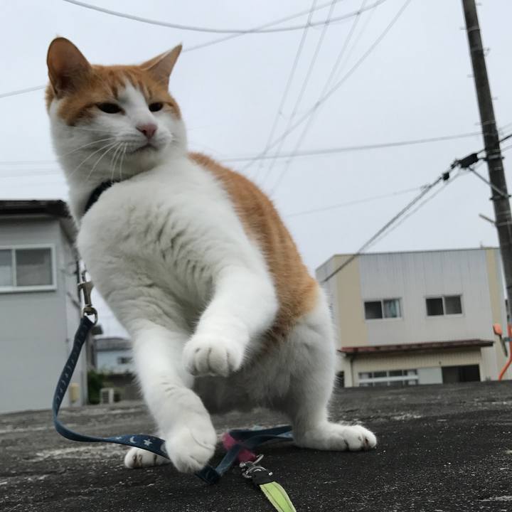 114dadf4 1362 47bd b257 25bd0402e4c7