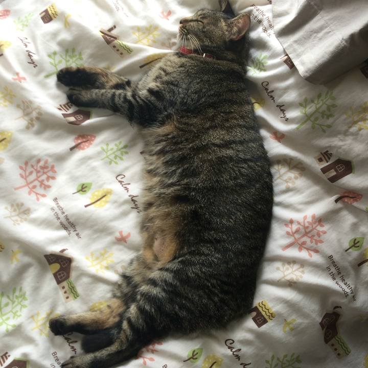 114e8228 1bf3 4b6c b264 5548f4c5de32