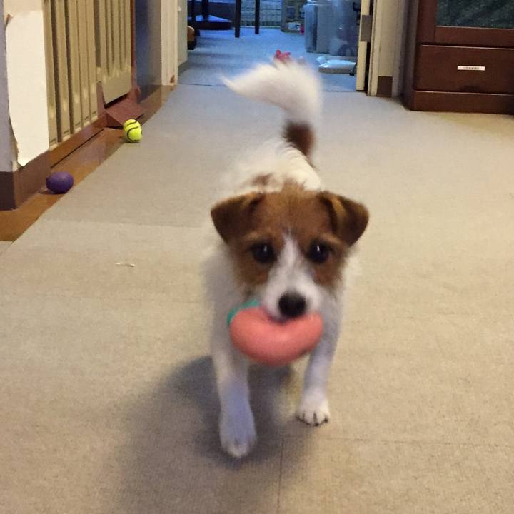 11513b3b cd96 4380 b267 5c467efd04ff