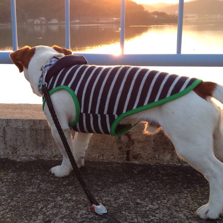 11516d6b d22b 4dee a7cd 3f9cc0e6031b