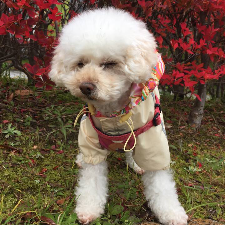 115171b6 e8d2 42c8 81b9 99eb2a4bb8ff