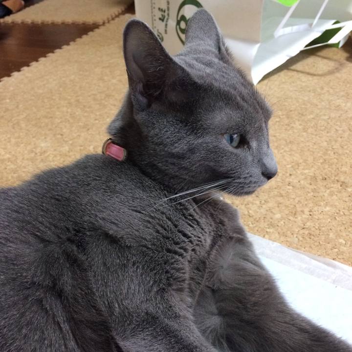 11519076 b4a7 4a06 90f1 43c3c3b81934