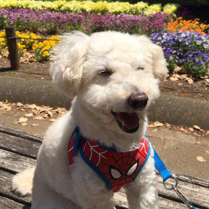 11519c2f 3dae 4d51 bd07 ca08db61e13d