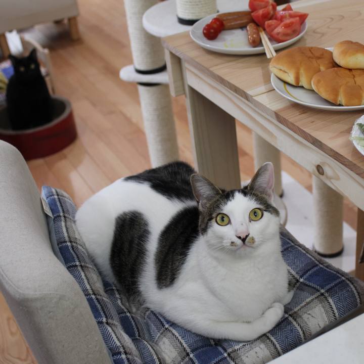 11519c65 0715 441b be0b 998f718e097d