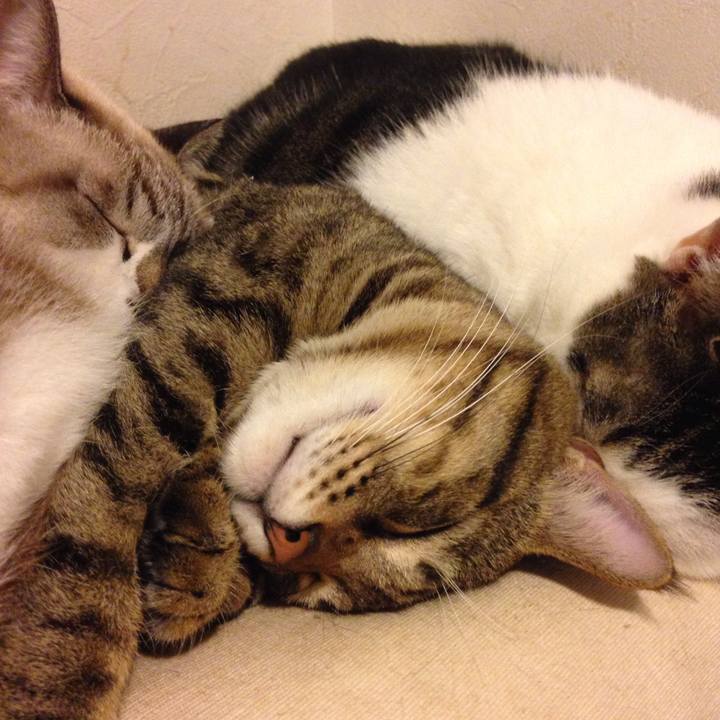 1152722a f467 443a bc7d 354df7ac6057