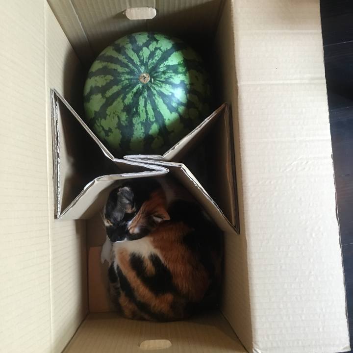 1152dab1 5f74 4f43 a3d5 5b05186936b5