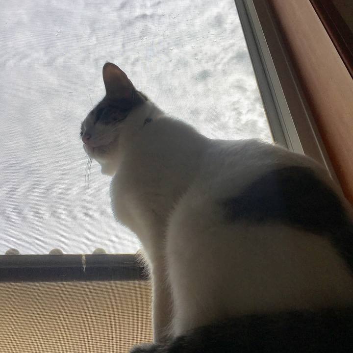 1152dcd1 88cd 4812 a19e f39790348823