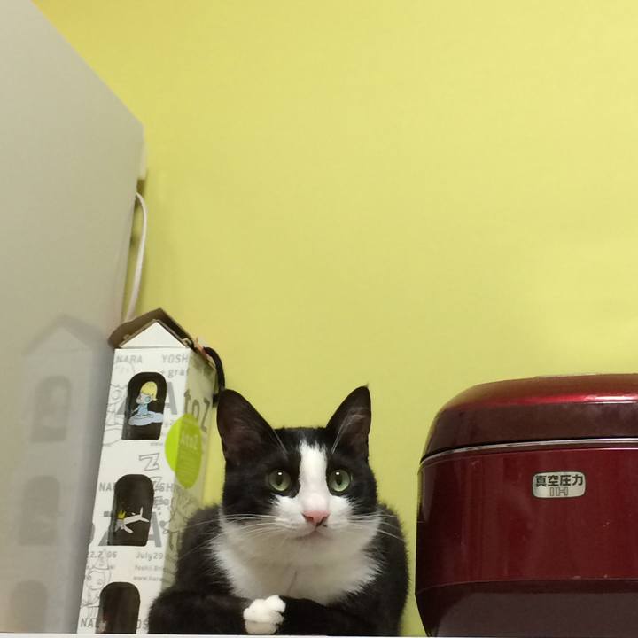 1153423e 9e09 41f7 87e3 7ab1bcbffe2d