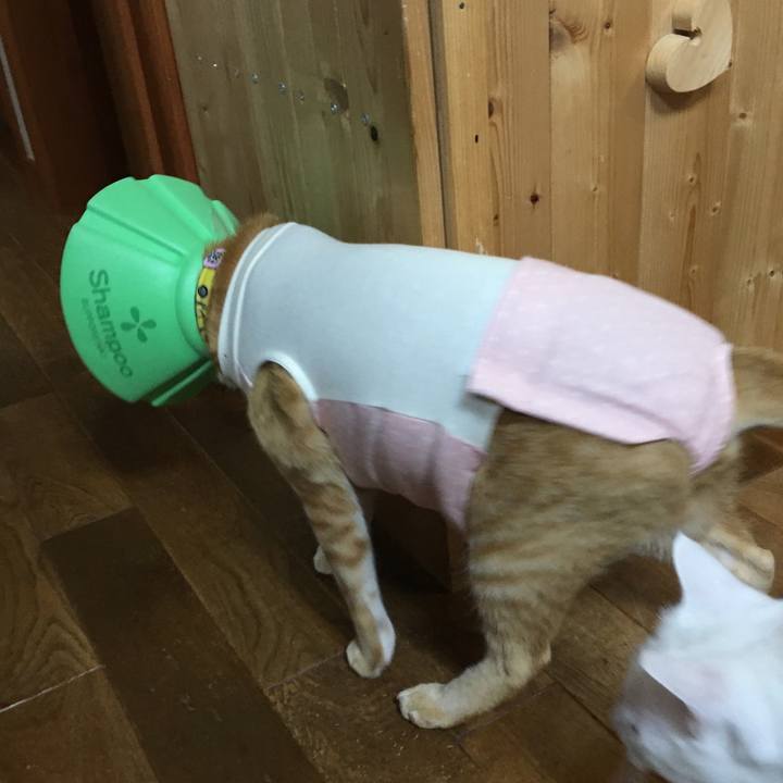 115355d1 f7c1 4e75 a2af def44b6a1de7