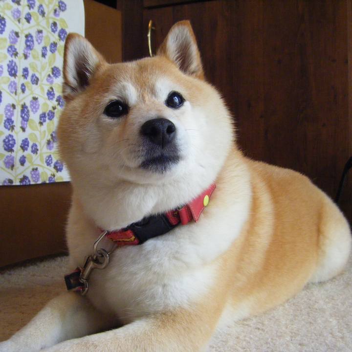 1153888f e7c4 4d4c 9ce8 2b3e4cbf1c85