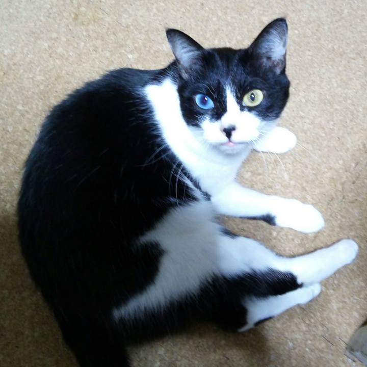 1153ce8a 900e 489e ad78 e8d089f5a494