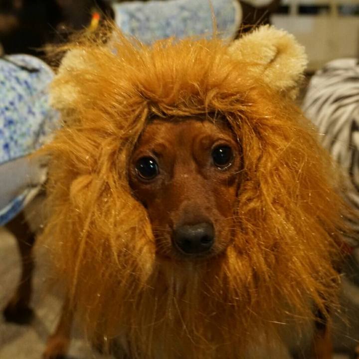 11543683 1a36 43c0 a323 650e7ea795ce