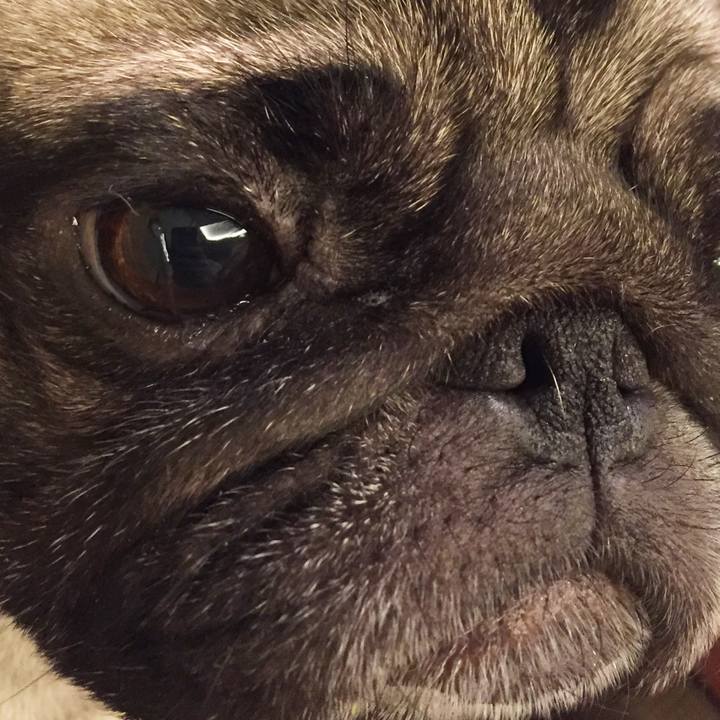 1154b9bb b173 4201 bb11 22905a5b2454