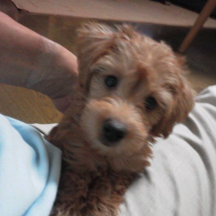 11557402 b918 4d82 9245 d03455dcaf52