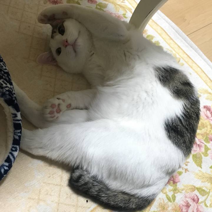 1156549b 2bef 4d62 882d 00fb8a1ae2aa