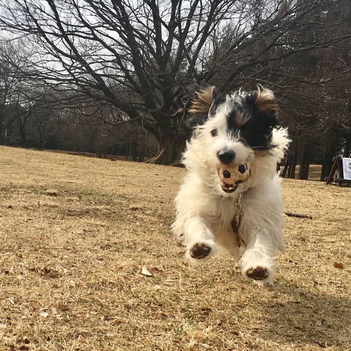 1156ff7a 5ae8 4f10 b451 7fc8456c58fd