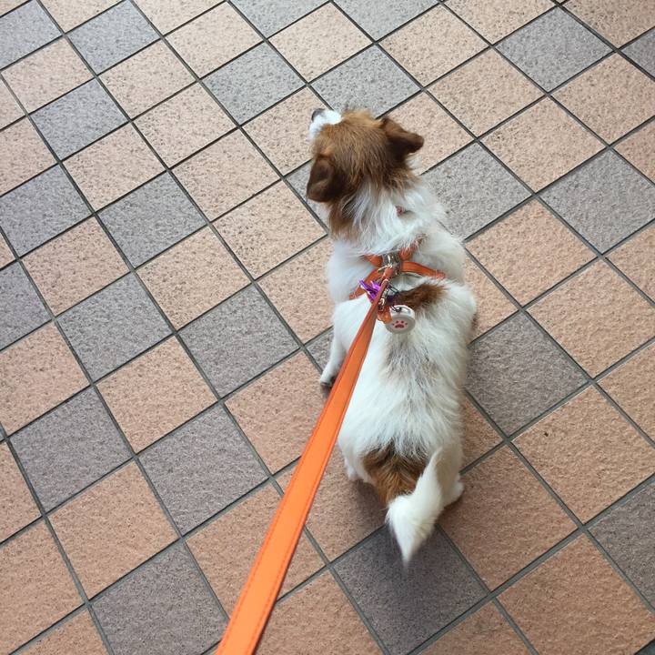 11573a01 d9eb 434c a3af 75185024102e