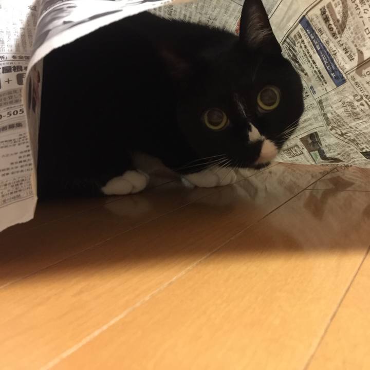 1157849b c40c 4652 a518 a6e878d08ff1