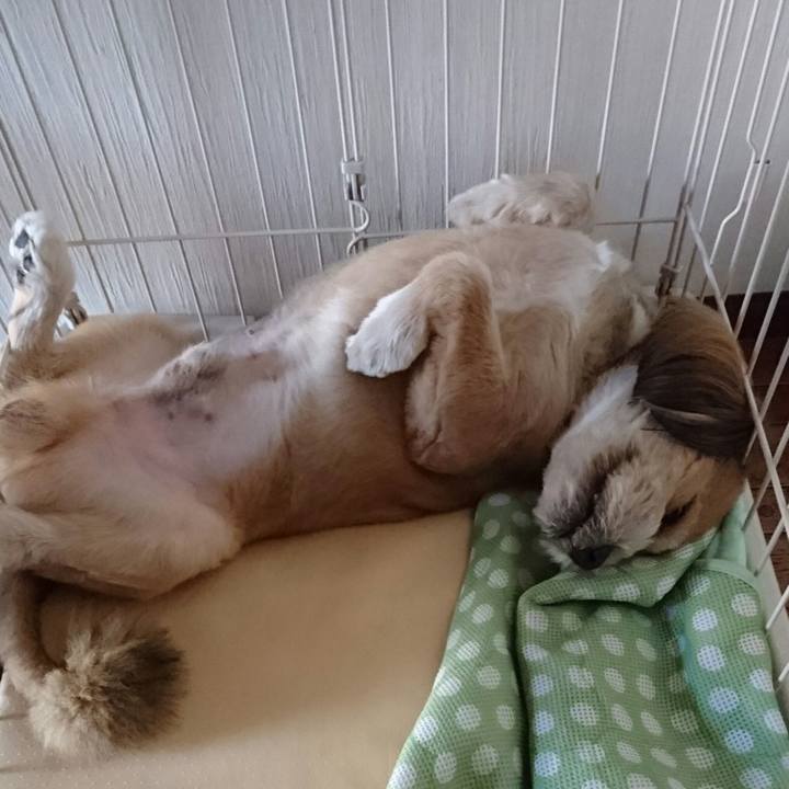 115795b4 f412 485c b775 ceb9f35507bf