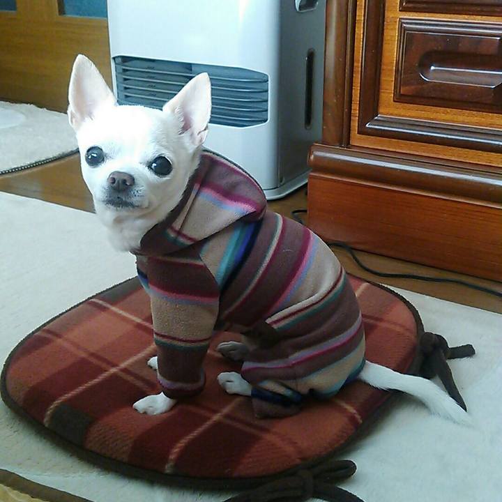 115830f7 b96e 4e09 b06b 04be8f287a37