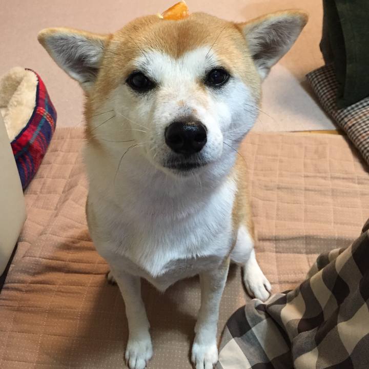 115850ab e081 4f1f 9fb0 9c7ab57b3b7e