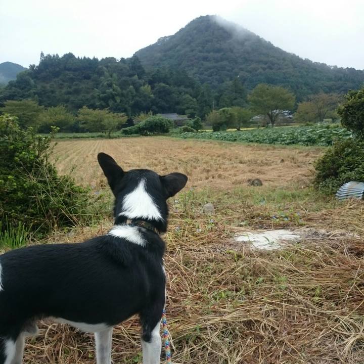 11592caf 7aa4 4366 9131 570c2f50655e