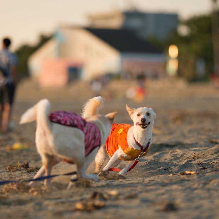 115939c4 e9a9 4d9b abe3 1e92f2b673ff