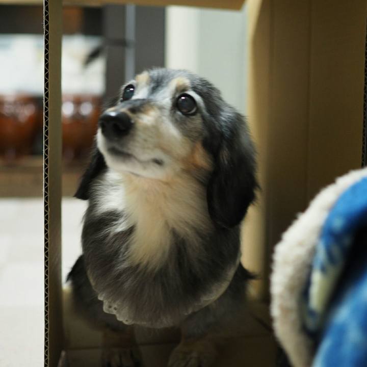 11599038 3db6 4bc0 a4fe 25a12f283ea0