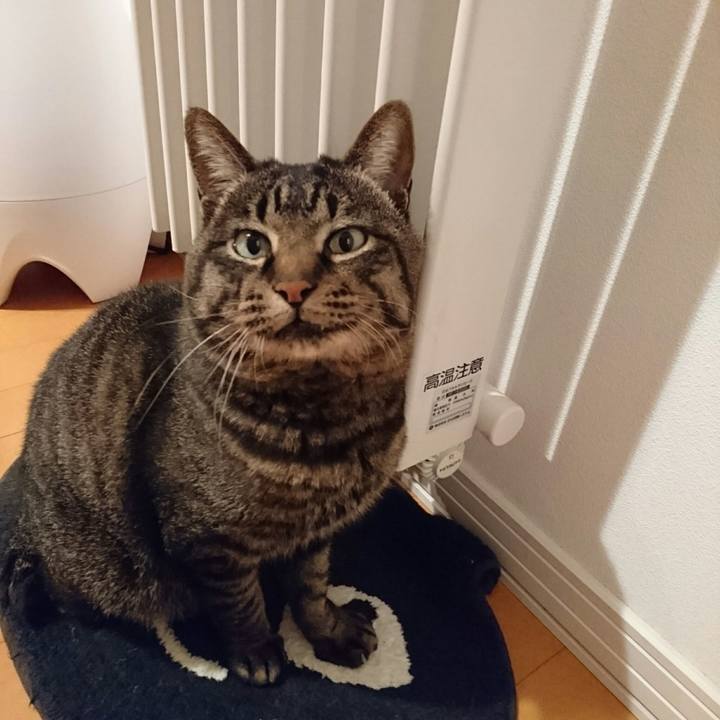 1159d7f3 a5ab 444f ac14 955c39f13b2b