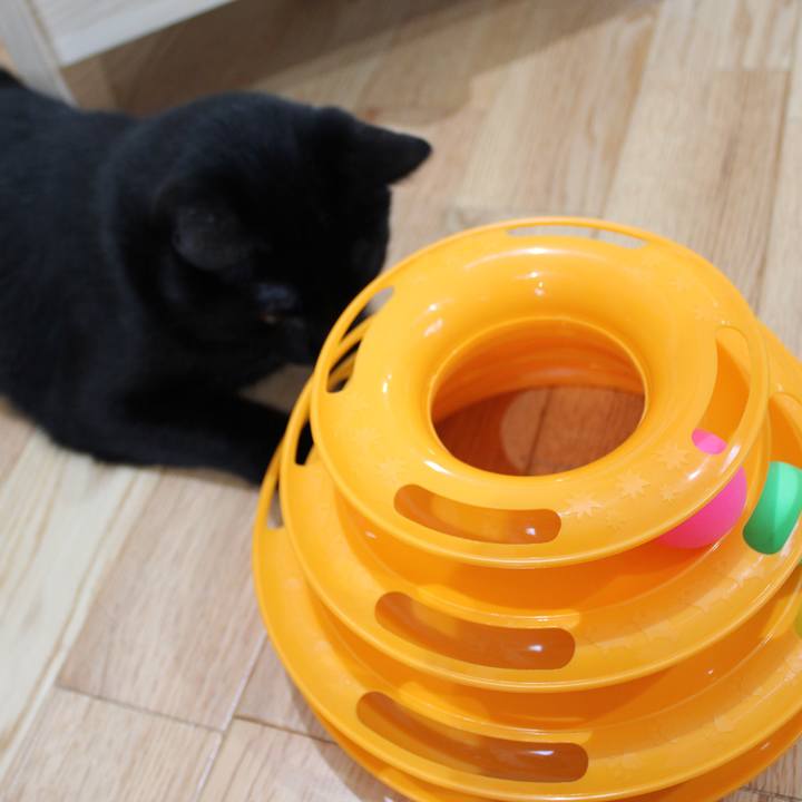 1159fb49 dc65 45c9 8587 075772a089d9